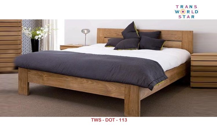 TWS-DOT-113