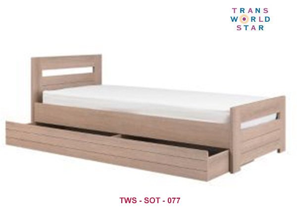 TWS-SOT-077