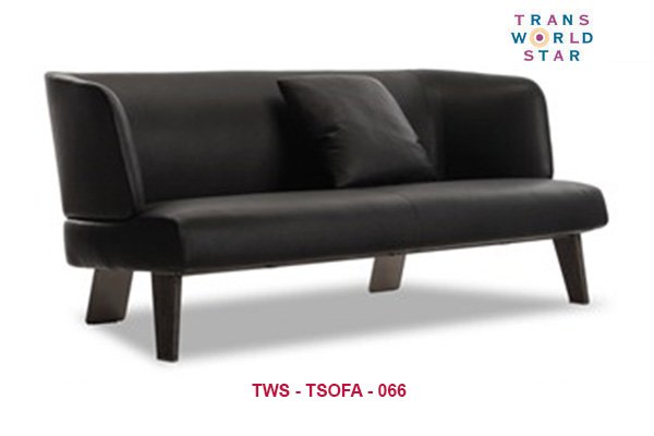 TWS-TSOFA-066