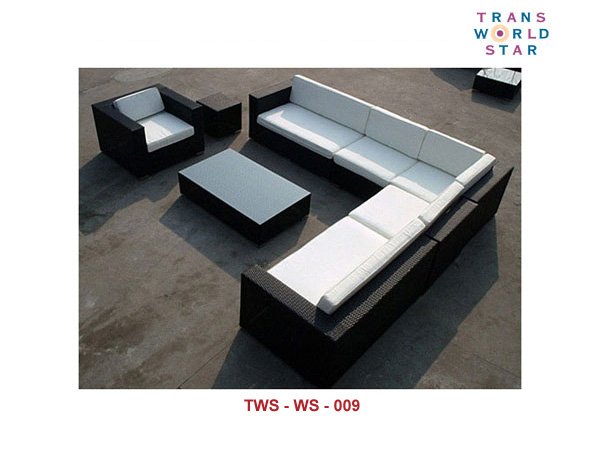 TWS-WS-009