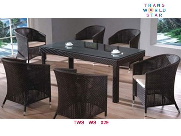 TWS-WS-029